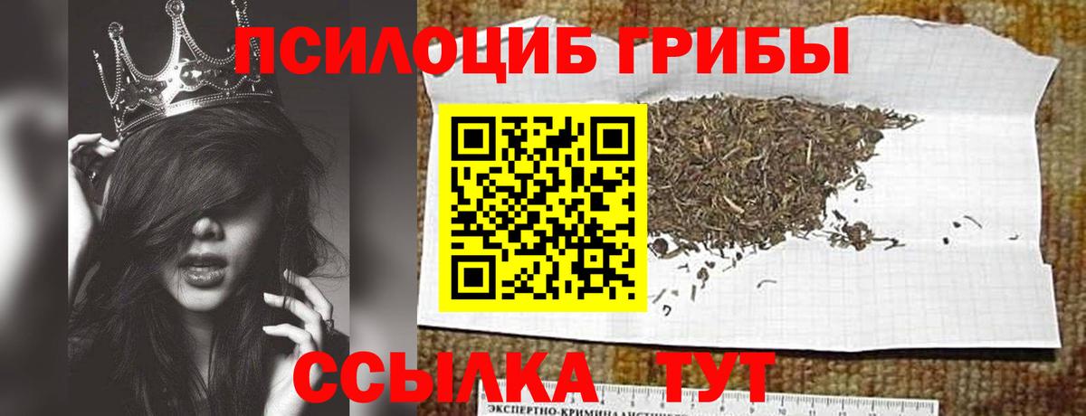 Шарыпово  Псилоцибиновые грибы GOLDEN TEACHER  Вход с VPN  Псилоцибиновые грибы Magic Shrooms 